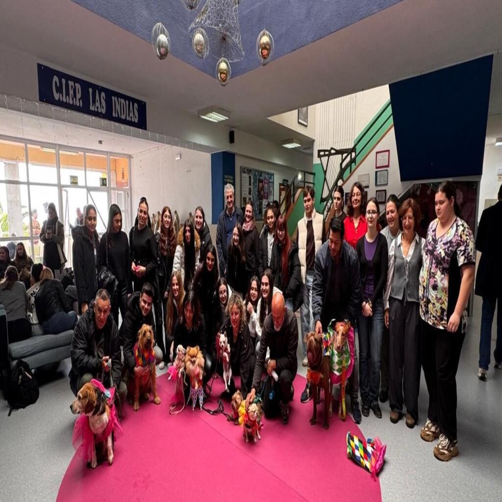 Ko kužki postanejo manekeni: Erasmus+ izkušnja naših dijakov na Tenerifu