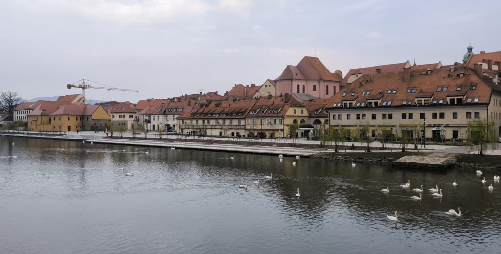 Državno tekmovanje iz zgodovine v Mariboru